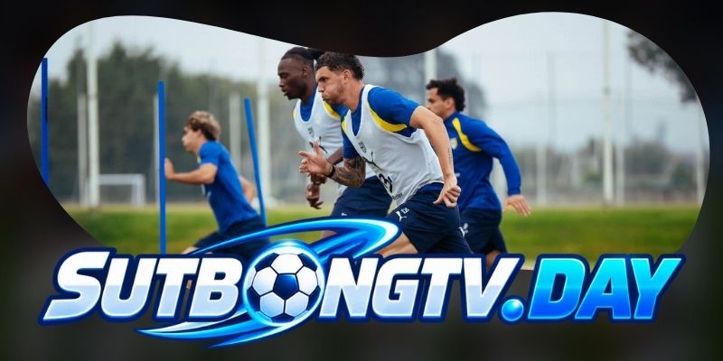 Phân tích phong độ Parma vs Torino qua sức ép sinh tồn và độ chắc trung tuyến