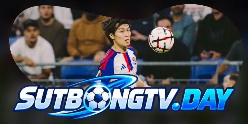 Tổng hợp dự đoán kèo trận TSG Hoffenheim vs Lyon ngày 23/10